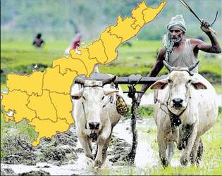 ap farmers worried about land
