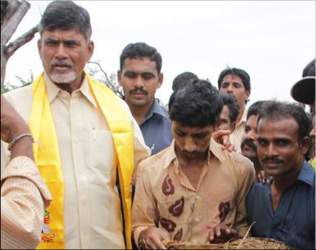 chandrababu naidu with farmers