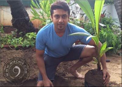 surya-my-tree-challange