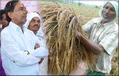  telangana farmers suicide