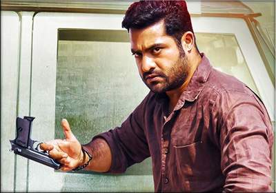 Temper not in sankranthi race