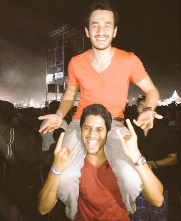akhil akkineni and naga chaithanya