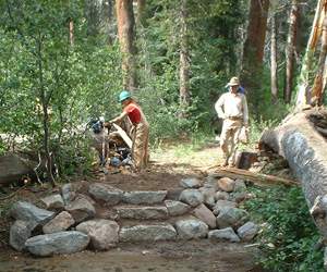 forest lands in viijayawada