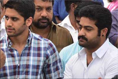 naga chaithanya and jr ntr movie