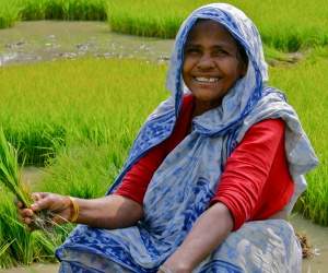 Andhra capital farmers