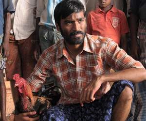 Why Dhanush came with 'Pandem Kollu' now?