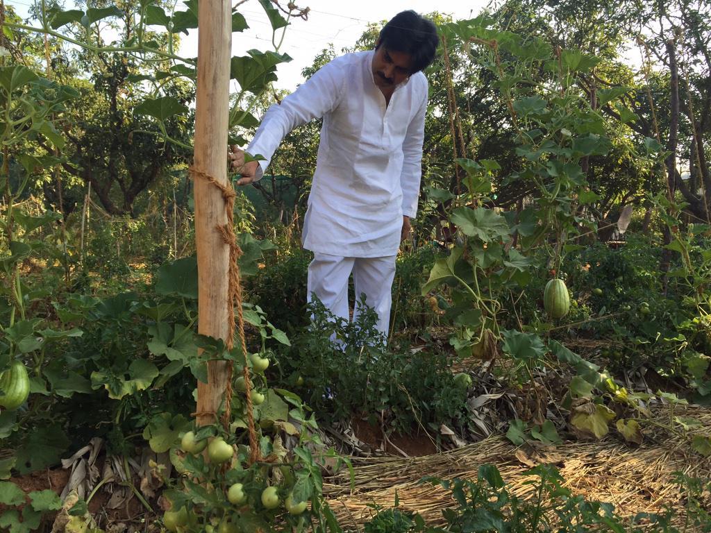 Pawan Kalyan promoting Natural Farming - 1