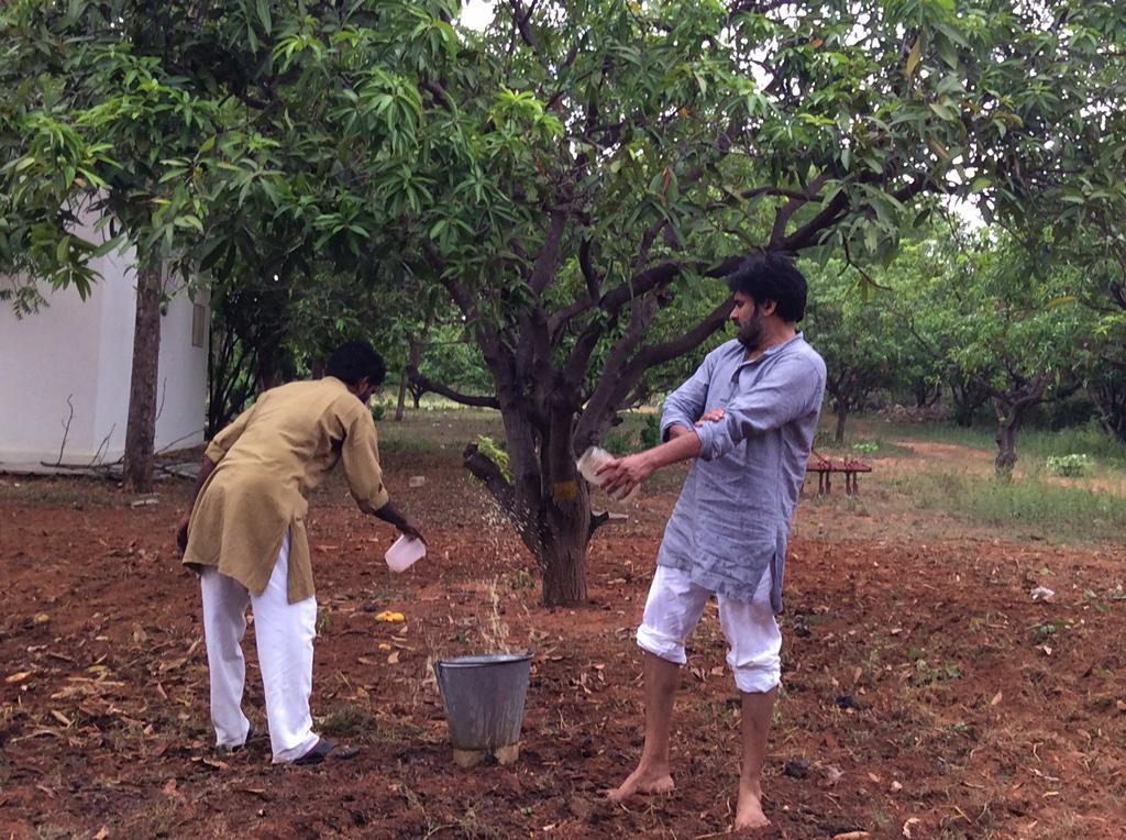 Pawan Kalyan promoting Natural Farming - 2