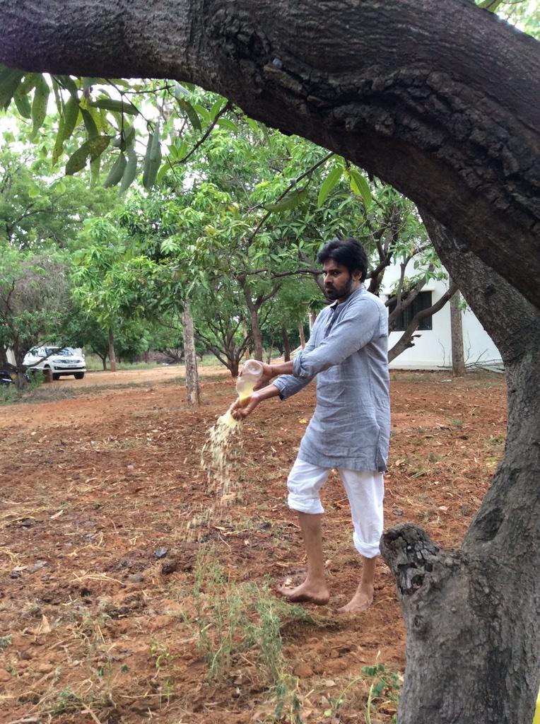 Pawan Kalyan promoting Natural Farming - 3
