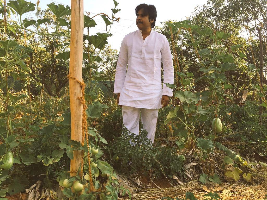 Pawan Kalyan promoting Natural Farming - 5