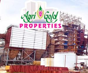 agrigold properties