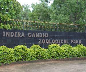 indhira gandhi zoological park vizag