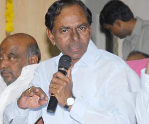 kcr comments on swine flu