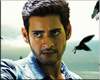 mahesh babu movie publicity