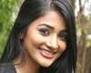 No Pooja Hegde in Tollywood in 2015