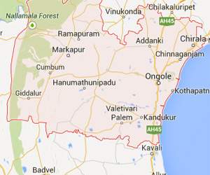 real estate prakasam district