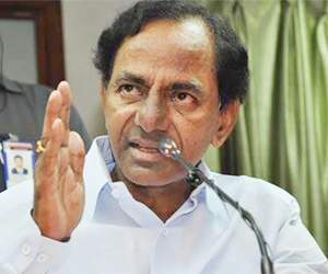 telangana government on swine flu