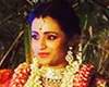trisha and varun engagement