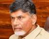 TDP government halts BJP office plans in AP!