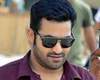 Temper box office report