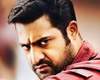 Temper-collections