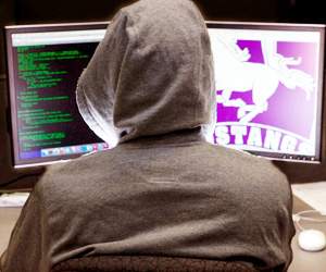 cyber crime cases increase