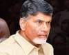 ఎర్రచందనం స్మగ్లింగ్ నియంత్రణకు బాబు కొత్త ప్లాన్!
