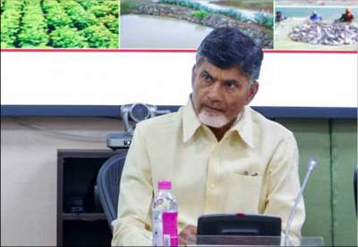 special package for ap