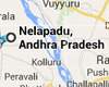 Nelapadu