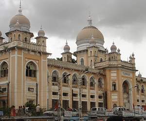 Osmania Hospital becomes second home for stray dogs!