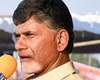TDP-CBN