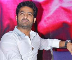Temper total collection worldwide