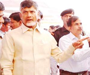cbn investment
