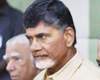 chandrababu naidu meets modi