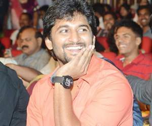hero nani movies hit