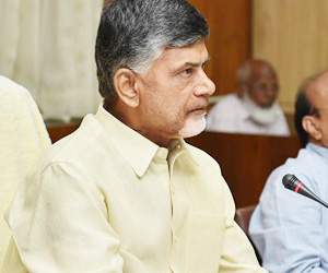 mlc elections chandrababu naidu