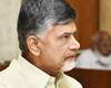 mlc elections chandrababu naidu
