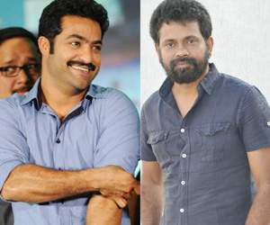 sukumar ntr movie start from april