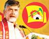 tdp mlc elections