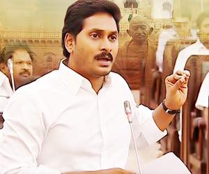 ysrcp party mlas in assembly