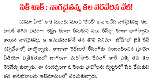 naga chaithanya red bull