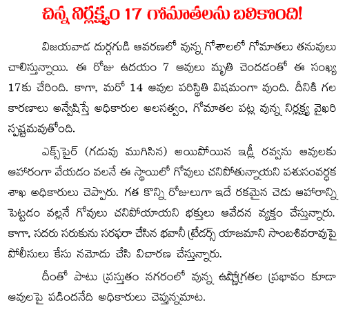 17 cows dead in vijayawada kanakaduraga gosala