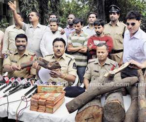 300 red sandal smugglers in ap