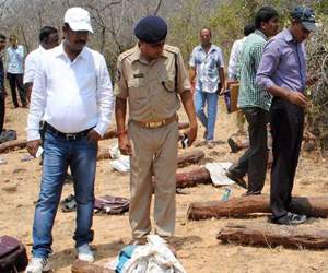 Total Curfew in Seshachalam Forest!