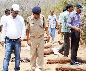 ap new idea to search seshachalam forest