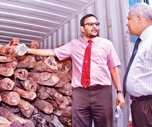 ap to claim red sandals 