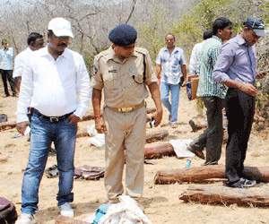 cctv footage on seshachalam forest