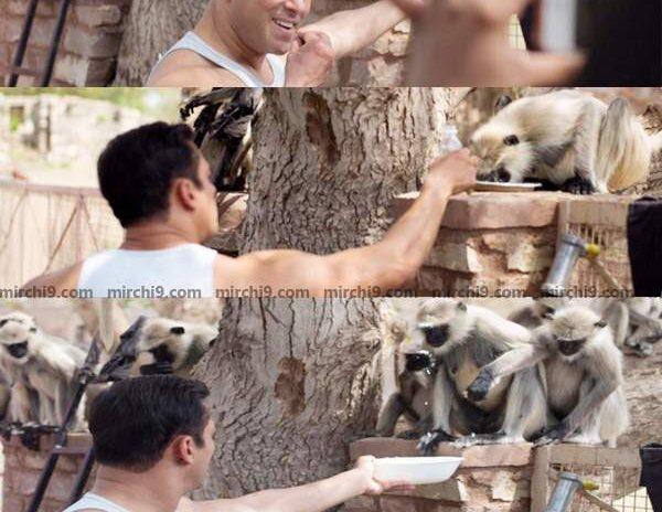 salman khan feeding monkeys