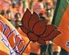 BJP bluffing about membership in AP!