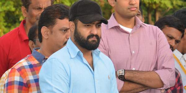 Media no longer fancy NTR - TDP relation!